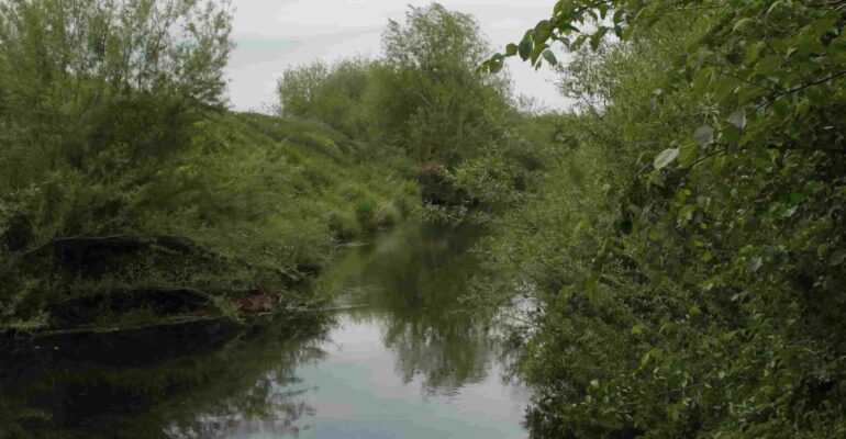 River Nidd downstream of Knaresborough