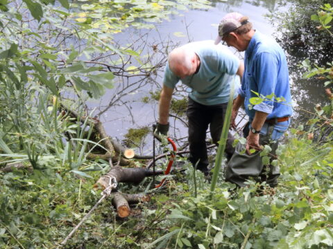 Member’s Pond Work Party August ’25